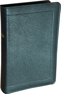image du produit Bible Darby format compact, cuir noir