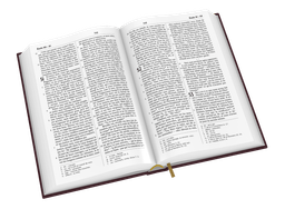 image du produit Bible Darby révisée format standard, rigide brun-rouge