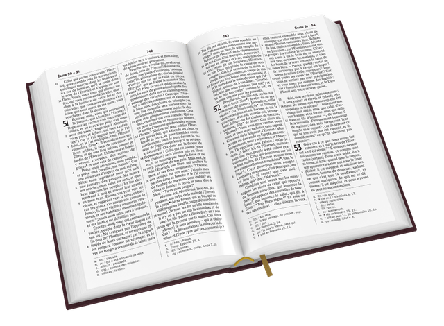 image du produit Bible Darby révisée format standard, rigide brun-rouge