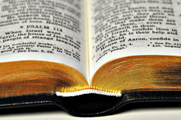 image du produit Bible cuir, petit format, version J.N. Darby, anglais