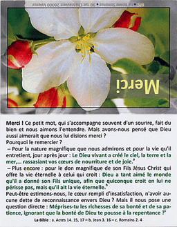 image du produit Cartes Merci avec versets