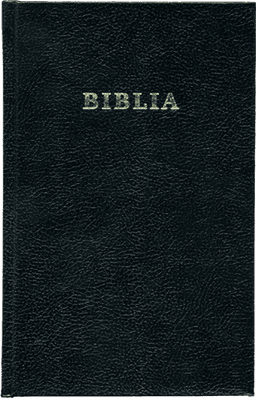 image du produit Bible, roumain, avec parallèles