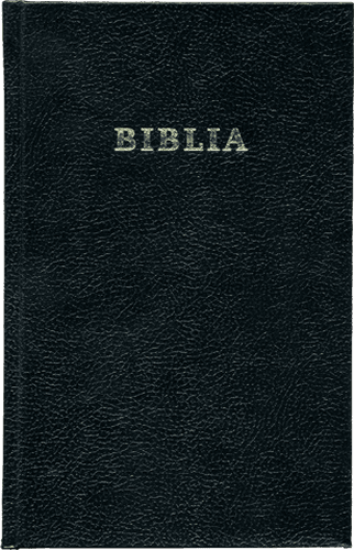 image du produit Bible, roumain, avec parallèles