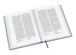 image du produit Bible Darby révisée grandes marges, souple bleu clair