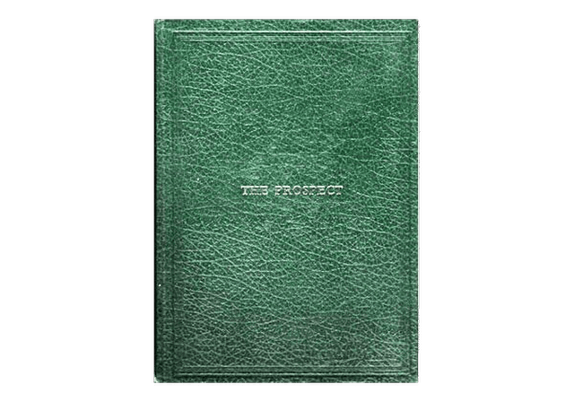 image du produit The Prospect