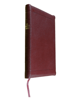image du produit Bible à rebords cuir grenat, format de poche, ancienne prés.