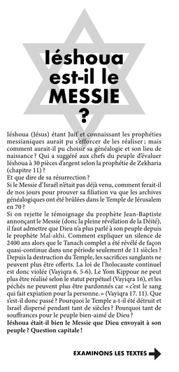 image du produit Iéshoua est-il le Messie ?