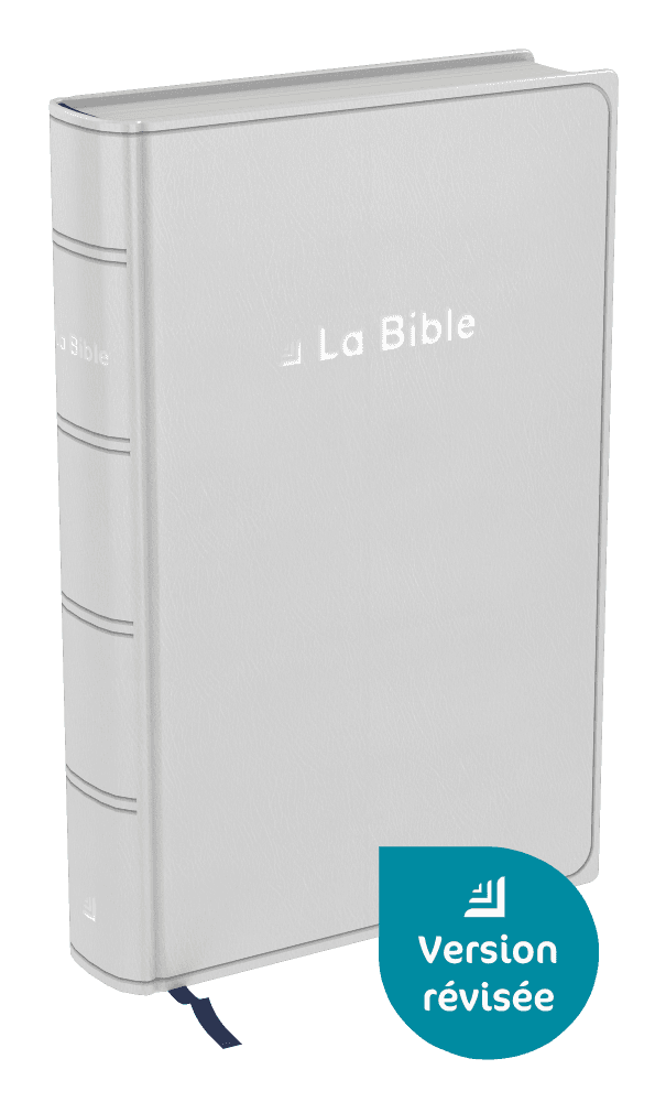 Produit Bible Darby révisée format compact, souple gris, tranche argent