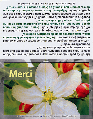 image du produit Cartes Merci avec versets