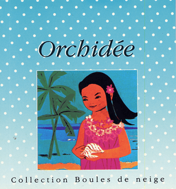 image du produit Orchidée