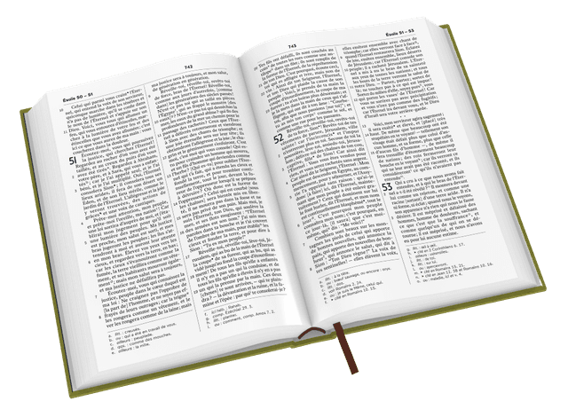 image du produit Bible Darby Révisée format compact, rigide velours vert