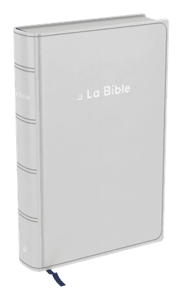 image du produit Bible Darby Révisée format compact, souple grise