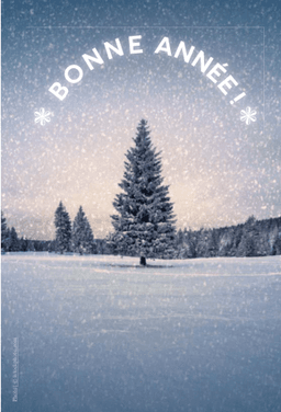 image du produit Bonne année !