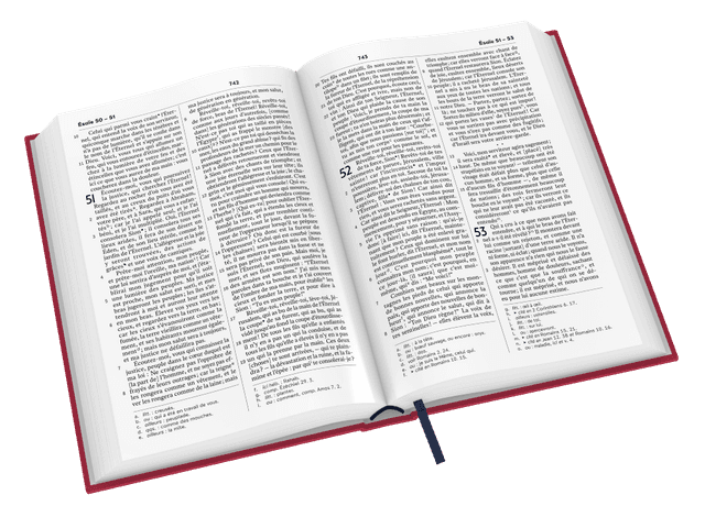 image du produit Bible Darby Révisée format standard, rigide velours rouge