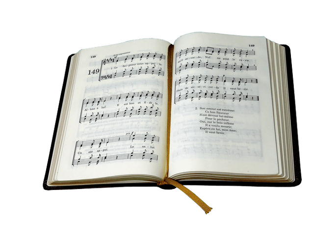 image du produit Hymnes et Cantiques ancienne édition, skinluxe souple, grenat, tranches or, grand  format