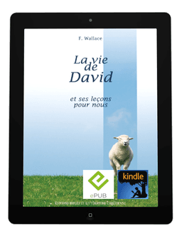 image du produit La vie de David et ses leçons pour nous -eBook