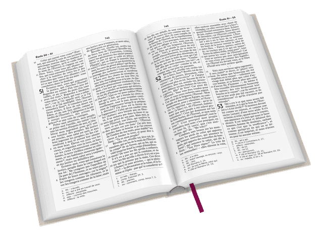 image du produit Bible Darby Révisée format compact, rigide lin beige