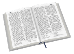 image du produit Bible Darby Révisée format compact, souple grise