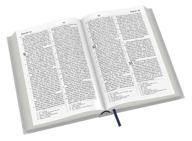 image du produit Bible Darby Révisée format compact, souple grise