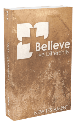 image du produit Nouveau Testament, Anglais, NIV