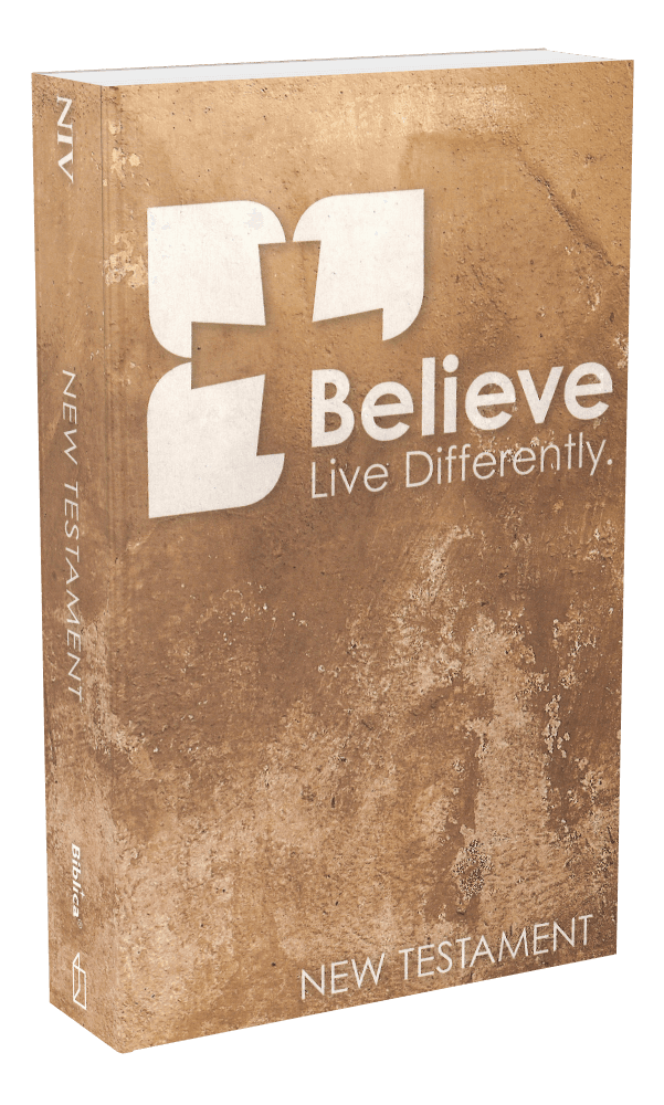 image du produit Nouveau Testament, Anglais, NIV