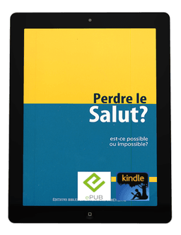 image du produit Perdre le salut ? Possible ou impossible ? -eBook