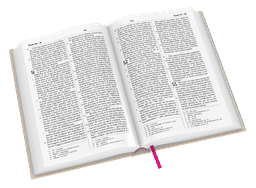 image du produit Bible Darby Révisée format standard, rigide lin beige