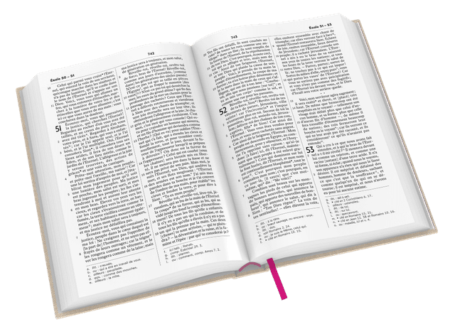 image du produit Bible Darby Révisée format compact, rigide lin beige