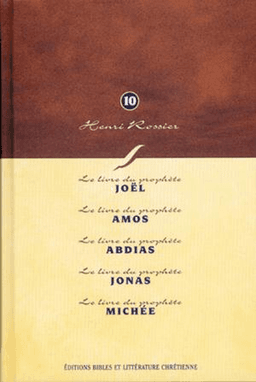 image du produit Méditations (Vol. 10) sur Joël à Michée