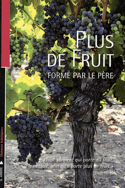 image du produit Plus de fruit