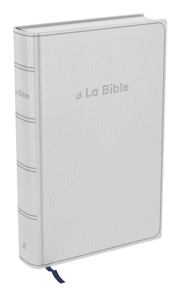 Produit Bible Darby Révisée format compact, souple grise