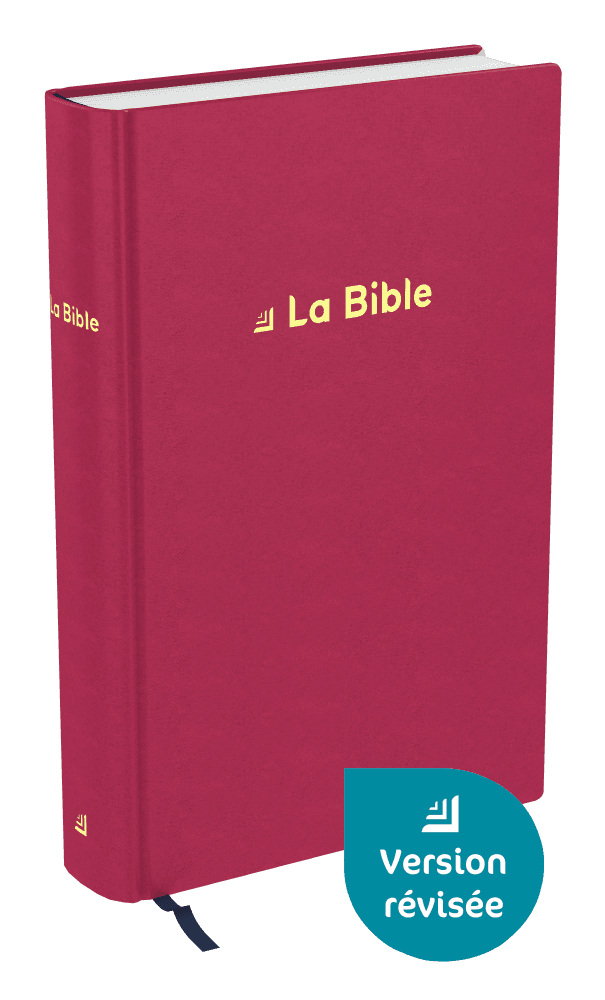 Produit Bible Darby révisée format standard, rigide velours rouge framboise