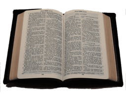 image du produit Bible cuir noir, petit format, ancienne prés.