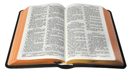 image du produit Bible cuir, petit format, version J.N. Darby, anglais