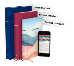 image du produit Bible Darby Révisée format compact, rigide velours rouge