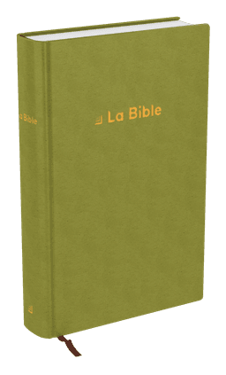 image du produit Bible Darby Révisée format compact, rigide velours vert