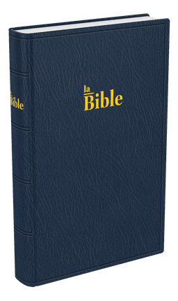 image du produit Bible Darby format standard, souple bleu