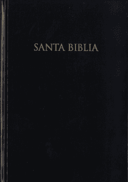 image du produit Bible, espagnol, cartonnée