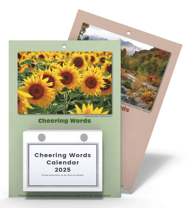 image du produit Calendrier "Cheering Words", Anglais, 2025