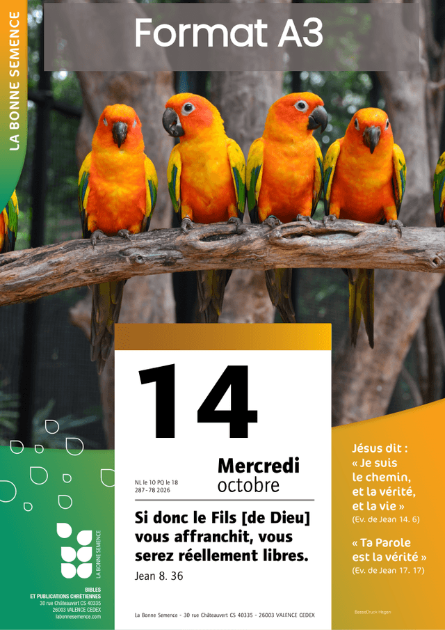 Produit Affiche - Calendrier La Bonne Semence