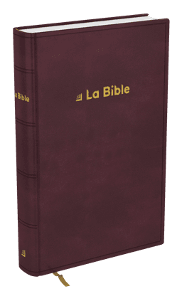 image du produit Bible Darby Révisée format standard, rigide brun-rouge
