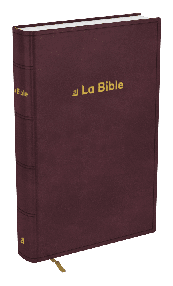 image du produit Bible Darby Révisée format standard, rigide brun-rouge