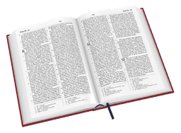 image du produit Bible Darby Révisée format compact, rigide velours rouge