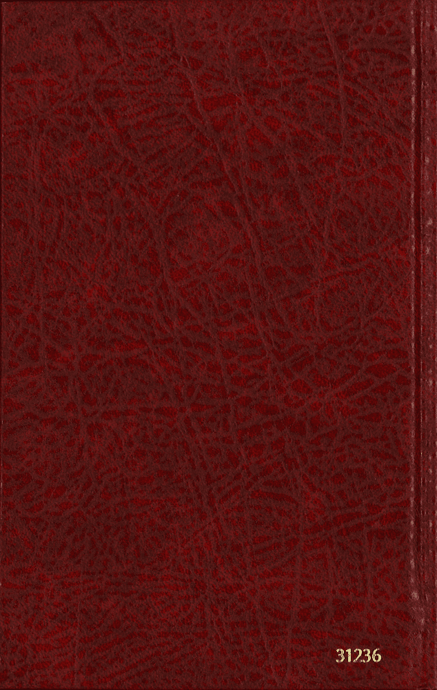 image du produit Bible, italien, cartonnée, Nuovo Riveduta