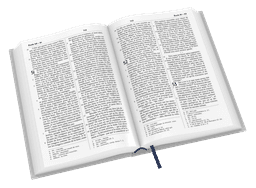 image du produit Bible Darby Révisée format compact, souple grise