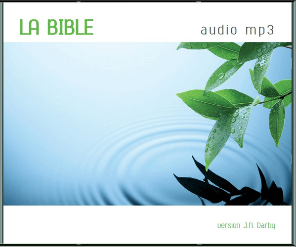 Produit CD Bible Darby Audio format MP3