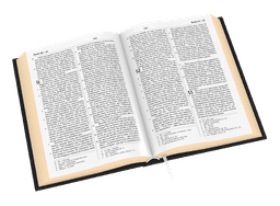 image du produit Bible Darby Révisée format standard, cuir noir