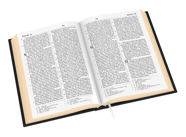 image du produit Bible Darby Révisée format standard, cuir noir