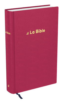 image du produit Bible Darby Révisée format compact, rigide velours rouge