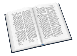 image du produit Bible Darby format standard, souple bleu